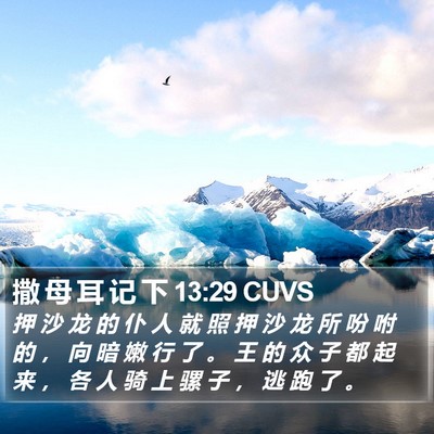 撒 母 耳 记 下 13:29 CUVS Bible Verse Image