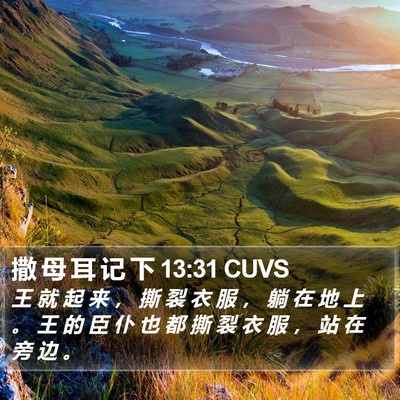 撒 母 耳 记 下 13:31 CUVS Bible Verse Image