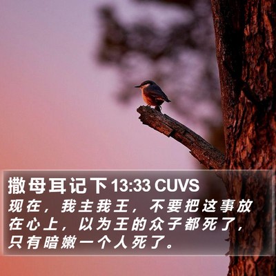 撒 母 耳 记 下 13:33 CUVS Bible Verse Image