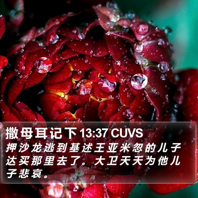 撒 母 耳 记 下 13:37 CUVS Bible Verse Image