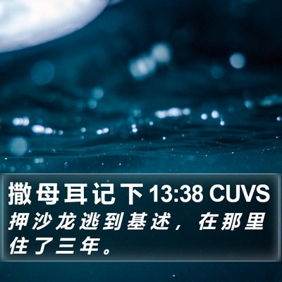 撒 母 耳 记 下 13:38 CUVS Bible Verse Image