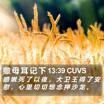 撒 母 耳 记 下 13:39 CUVS Bible Verse Image