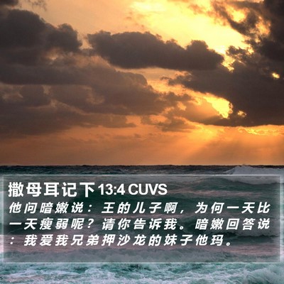 撒 母 耳 记 下 13:4 CUVS Bible Verse Image