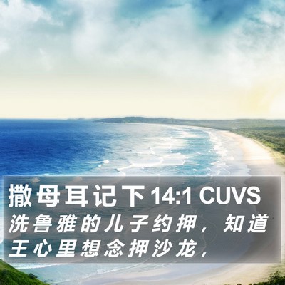 撒 母 耳 记 下 14:1 CUVS Bible Verse Image