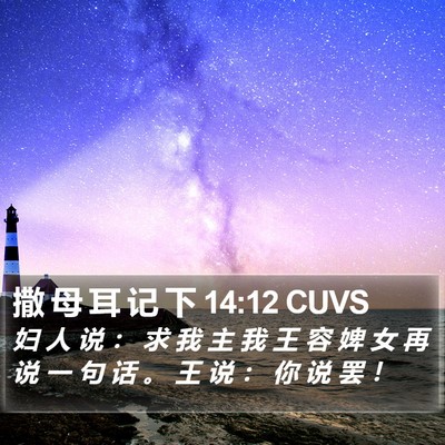 撒 母 耳 记 下 14:12 CUVS Bible Verse Image