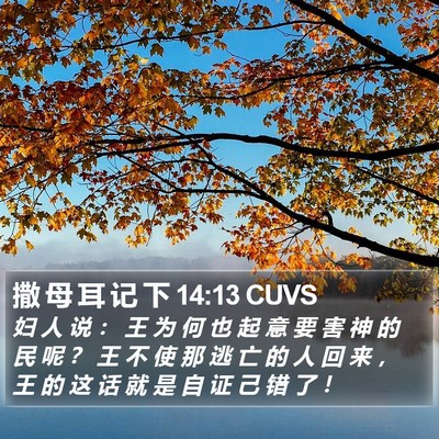 撒 母 耳 记 下 14:13 CUVS Bible Verse Image