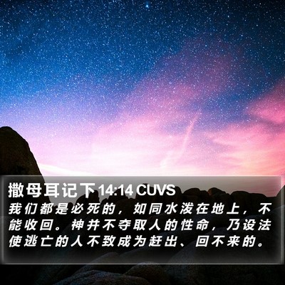 撒 母 耳 记 下 14:14 CUVS Bible Verse Image