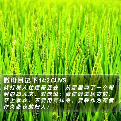 撒 母 耳 记 下 14:2 CUVS Bible Verse Image