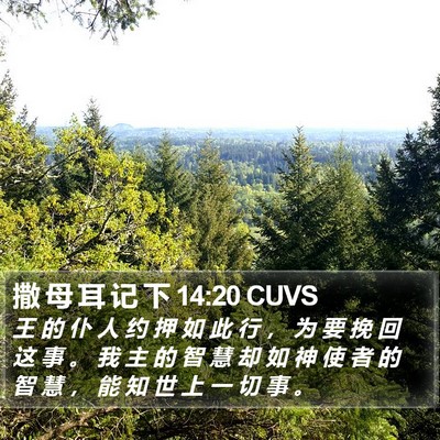 撒 母 耳 记 下 14:20 CUVS Bible Verse Image