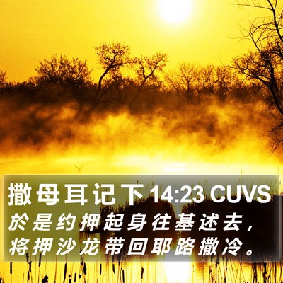 撒 母 耳 记 下 14:23 CUVS Bible Verse Image
