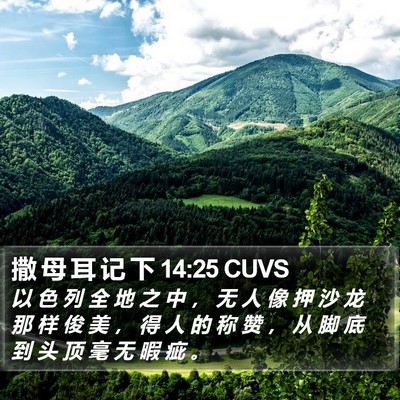 撒 母 耳 记 下 14:25 CUVS Bible Verse Image