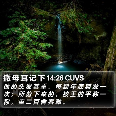 撒 母 耳 记 下 14:26 CUVS Bible Verse Image