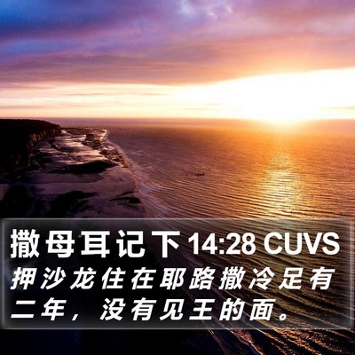 撒 母 耳 记 下 14:28 CUVS Bible Verse Image