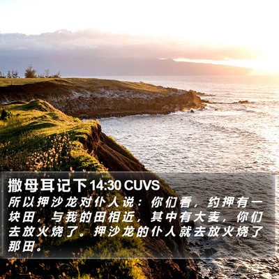 撒 母 耳 记 下 14:30 CUVS Bible Verse Image