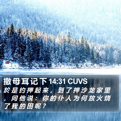 撒 母 耳 记 下 14:31 CUVS Bible Verse Image