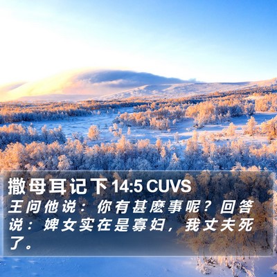 撒 母 耳 记 下 14:5 CUVS Bible Verse Image