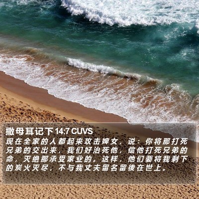 撒 母 耳 记 下 14:7 CUVS Bible Verse Image