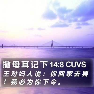 撒 母 耳 记 下 14:8 CUVS Bible Verse Image