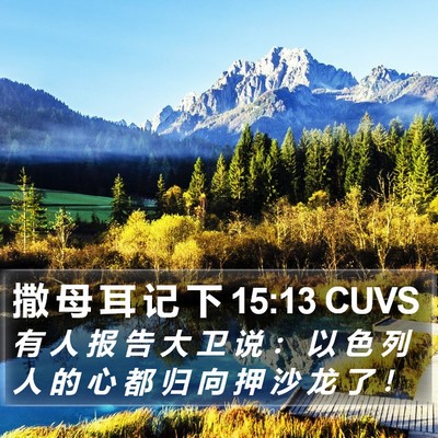 撒 母 耳 记 下 15:13 CUVS Bible Verse Image