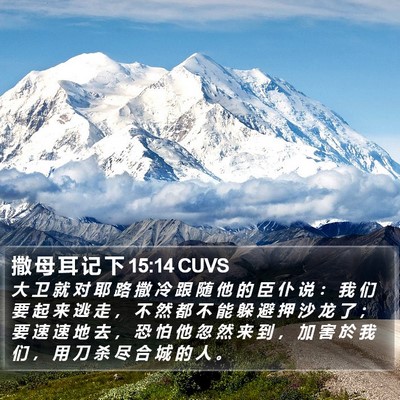 撒 母 耳 记 下 15:14 CUVS Bible Verse Image