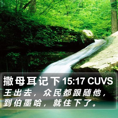 撒 母 耳 记 下 15:17 CUVS Bible Verse Image