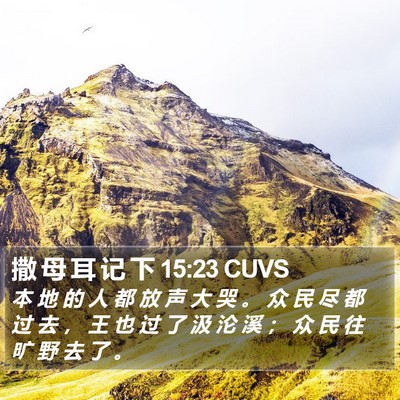 撒 母 耳 记 下 15:23 CUVS Bible Verse Image