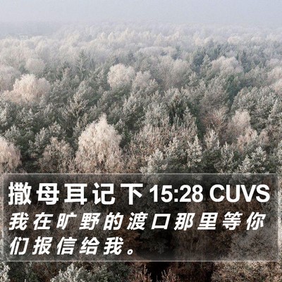 撒 母 耳 记 下 15:28 CUVS Bible Verse Image