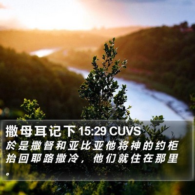 撒 母 耳 记 下 15:29 CUVS Bible Verse Image