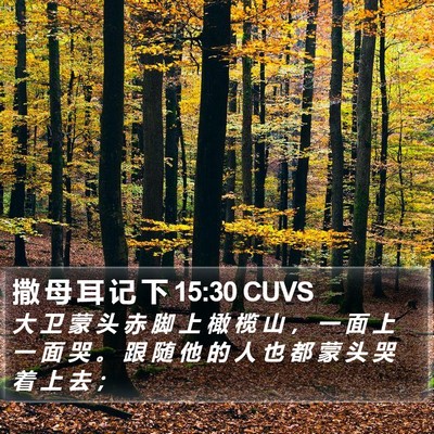 撒 母 耳 记 下 15:30 CUVS Bible Verse Image