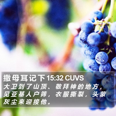 撒 母 耳 记 下 15:32 CUVS Bible Verse Image