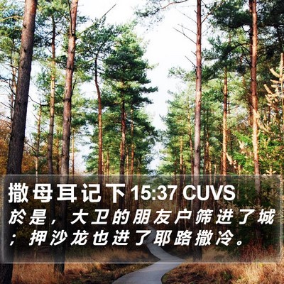 撒 母 耳 记 下 15:37 CUVS Bible Verse Image