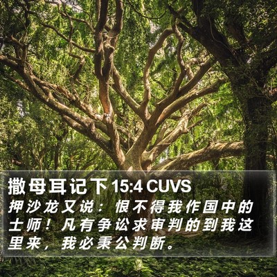 撒 母 耳 记 下 15:4 CUVS Bible Verse Image