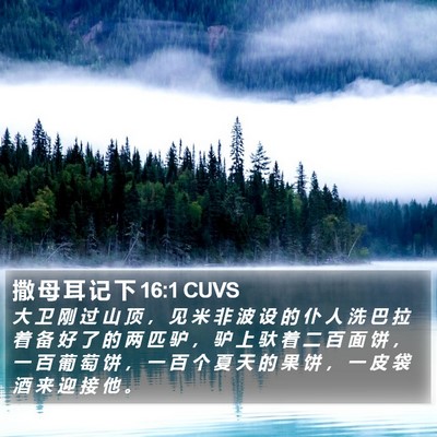 撒 母 耳 记 下 16:1 CUVS Bible Verse Image