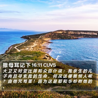 撒 母 耳 记 下 16:11 CUVS Bible Verse Image