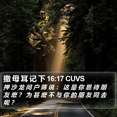 撒 母 耳 记 下 16:17 CUVS Bible Verse Image