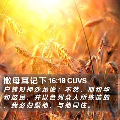 撒 母 耳 记 下 16:18 CUVS Bible Verse Image