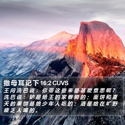 撒 母 耳 记 下 16:2 CUVS Bible Verse Image