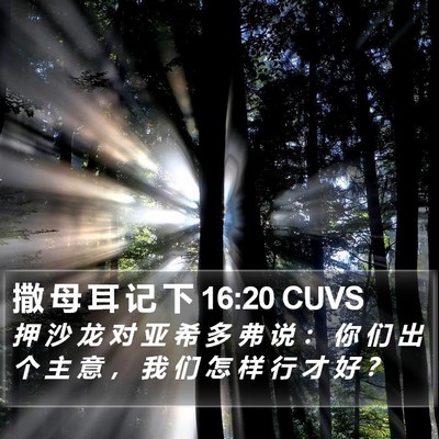 撒 母 耳 记 下 16:20 CUVS Bible Verse Image