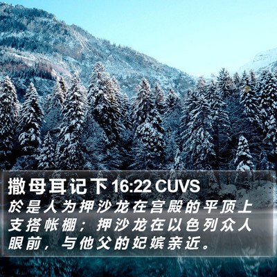 撒 母 耳 记 下 16:22 CUVS Bible Verse Image