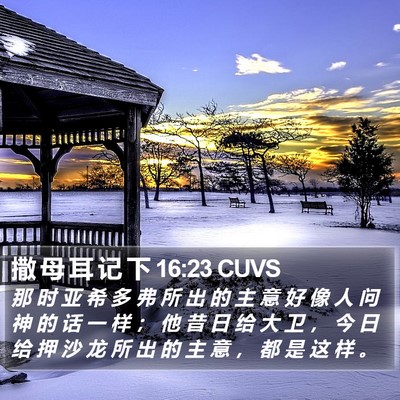 撒 母 耳 记 下 16:23 CUVS Bible Verse Image
