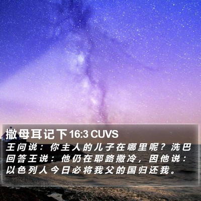 撒 母 耳 记 下 16:3 CUVS Bible Verse Image