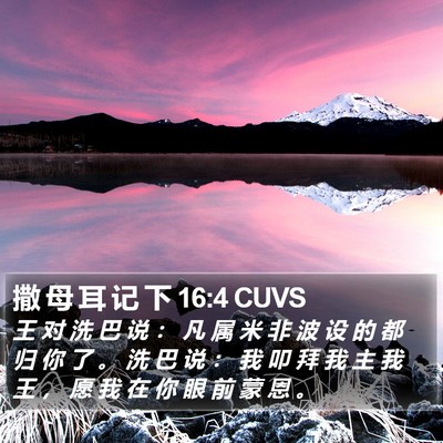 撒 母 耳 记 下 16:4 CUVS Bible Verse Image