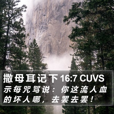 撒 母 耳 记 下 16:7 CUVS Bible Verse Image