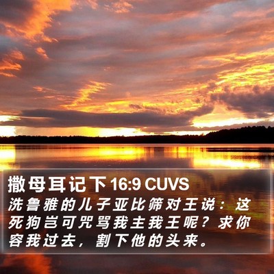 撒 母 耳 记 下 16:9 CUVS Bible Verse Image