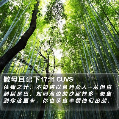 撒 母 耳 记 下 17:11 CUVS Bible Verse Image