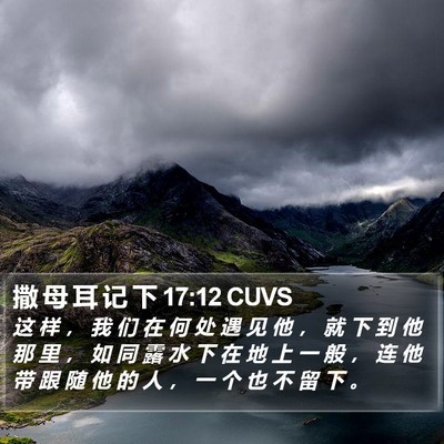 撒 母 耳 记 下 17:12 CUVS Bible Verse Image