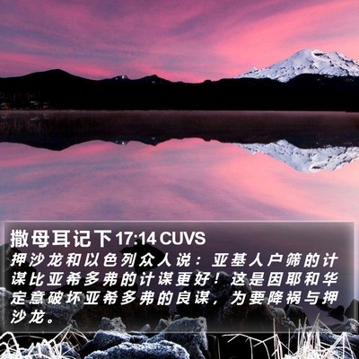 撒 母 耳 记 下 17:14 CUVS Bible Verse Image