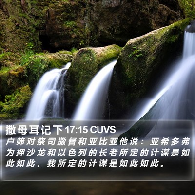 撒 母 耳 记 下 17:15 CUVS Bible Verse Image