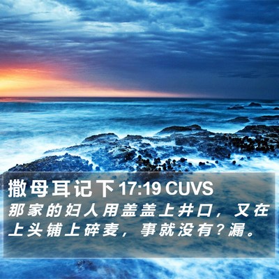 撒 母 耳 记 下 17:19 CUVS Bible Verse Image