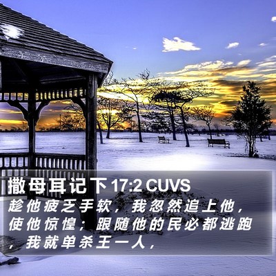 撒 母 耳 记 下 17:2 CUVS Bible Verse Image